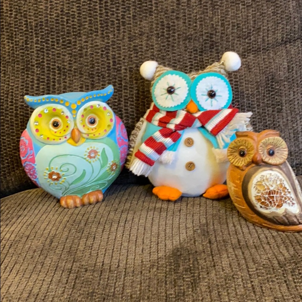 Owls
